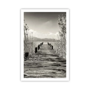 Poster - In de stilte van het gras - 61x91 cm