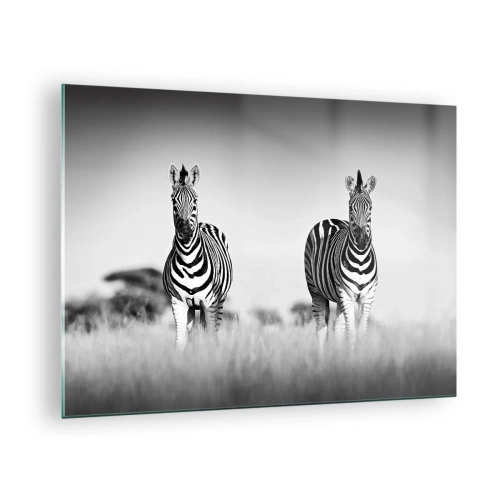 Schilderen op glas - Een zebrapaar op een zwart-witte grasachtergrond, afgebeeld in hun natuurlijke habitat. - 70x50cm - Toch is de wereld zwart-wit - Moderne wanddecoratie voor woonkamer en slaapkamer ARTTOR