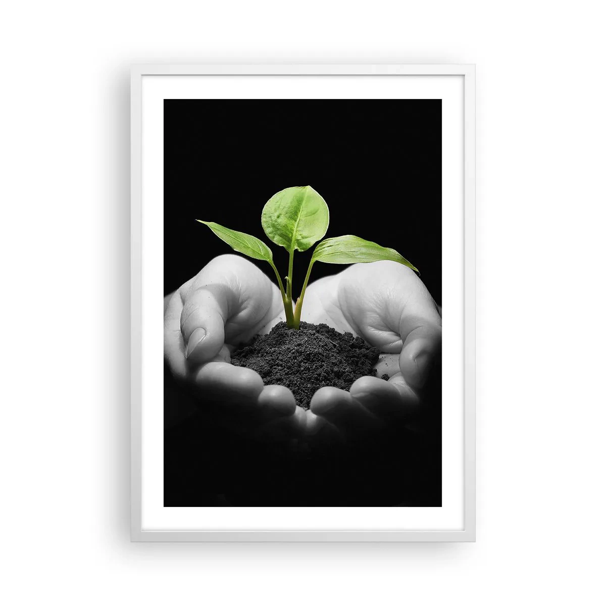 Poster in een witte lijst - Ik hou van de natuur, ik bescherm haar - 50x70 cm