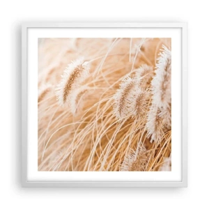 Poster in een witte lijst - Het gouden geritsel van het gras - 50x50 cm
