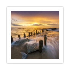 Poster - De rauwe schoonheid van de Oostzee - 50x50 cm