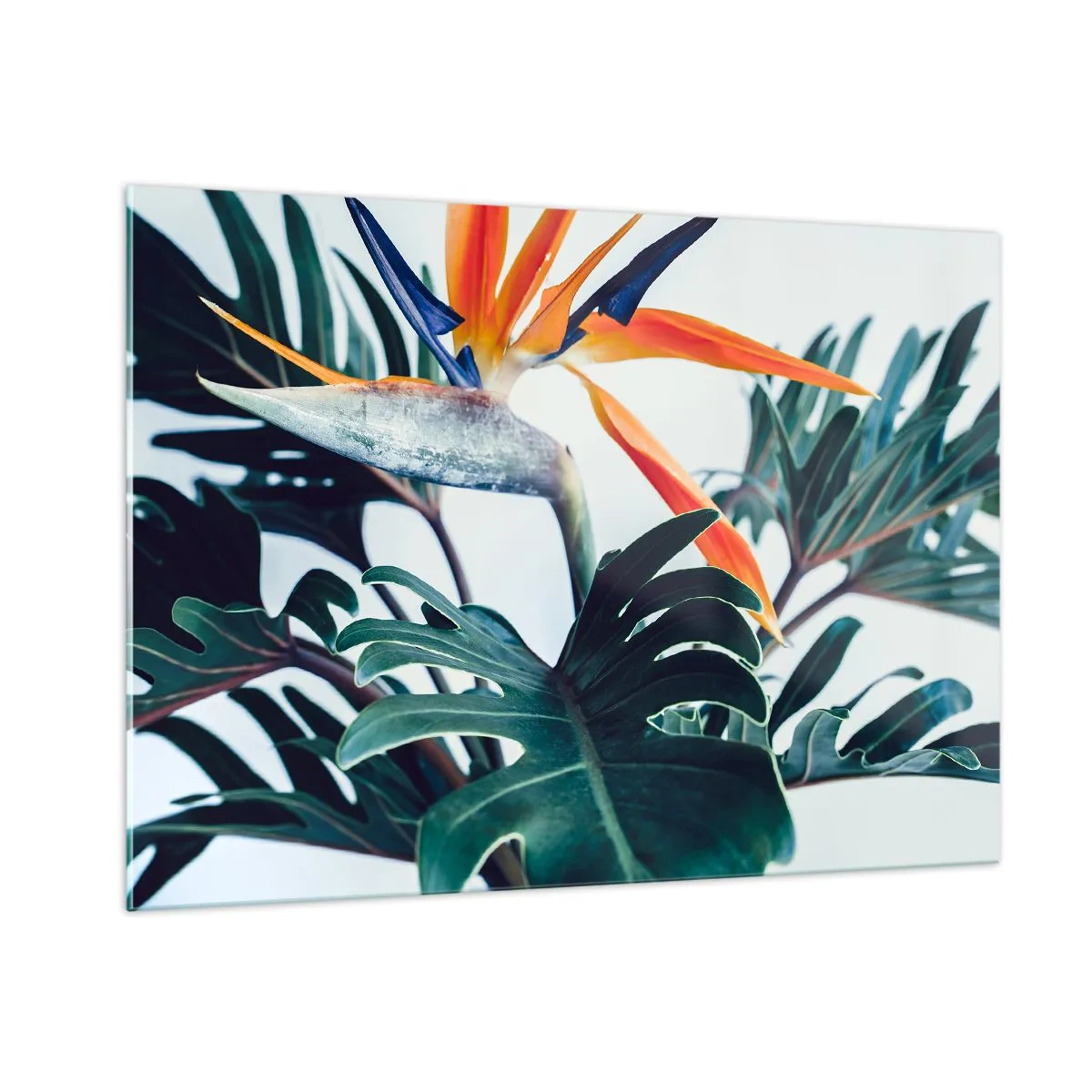 Schilderen op glas - Vogelstruik - 100x70 cm