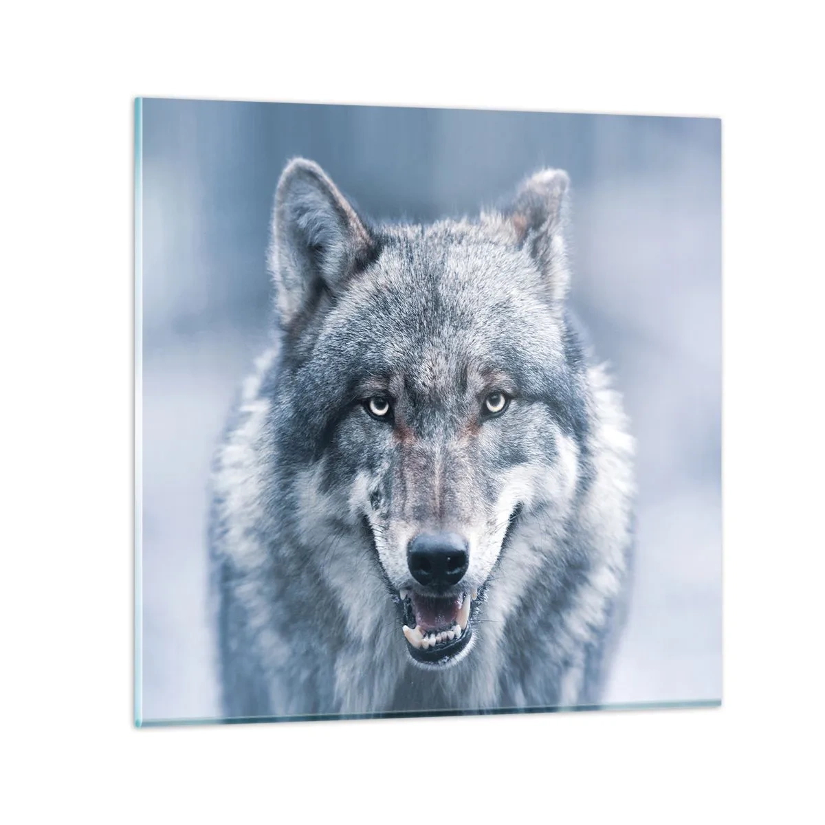 Schilderen op glas - Ga jij de uitdaging aan? - 50x50 cm