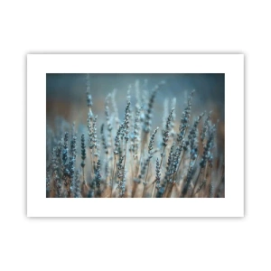 Poster - Geurig korenveld - 40x30 cm