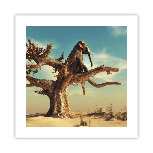 Poster - Een nieuw gezichtspunt - 40x40 cm