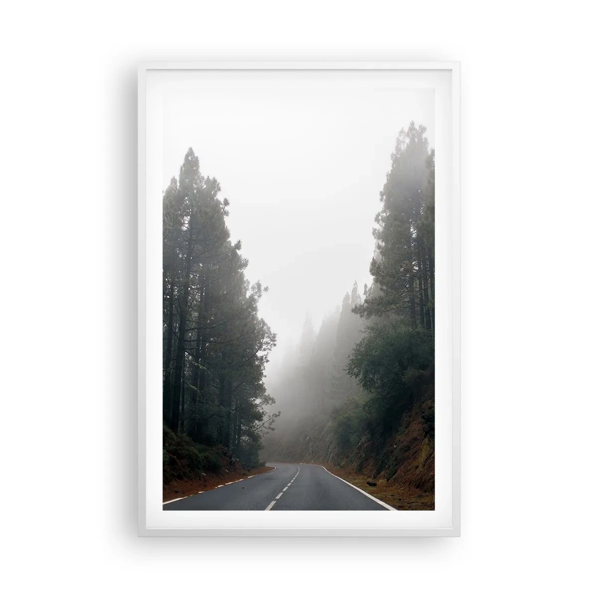 Poster in een witte lijst - Een verhaal over een magisch bos - 61x91 cm