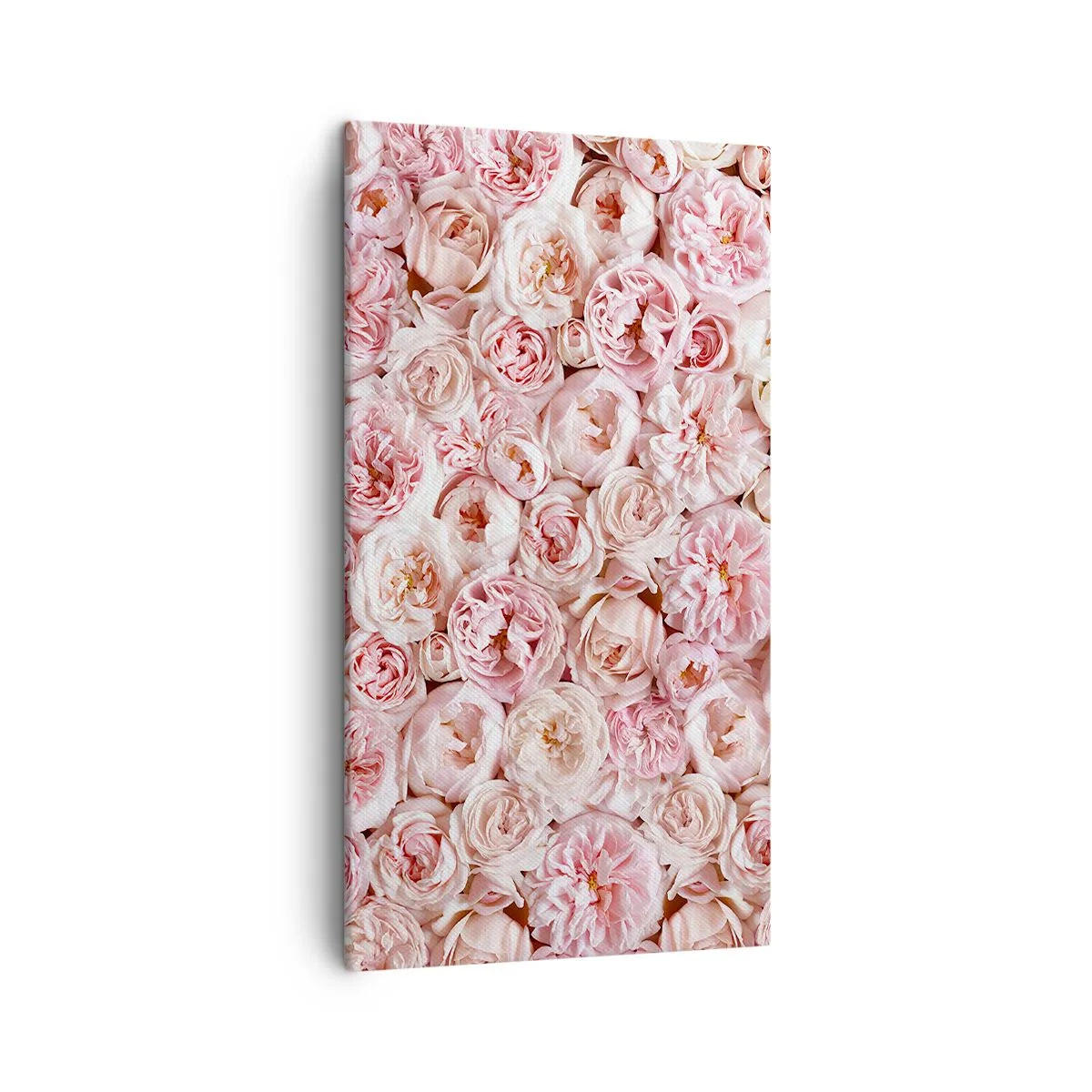 Schilderen op canvas - Een bed van rozen - 45x80 cm
