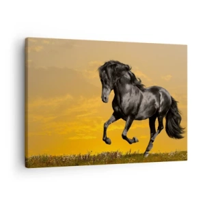 Schilderen op canvas - Een zwart paard galoppeert tegen de achtergrond van een gouden zonsondergang. - 70x50cm - Mooi, vrij en wild - Moderne wanddecoratie voor woonkamer en slaapkamer ARTTOR