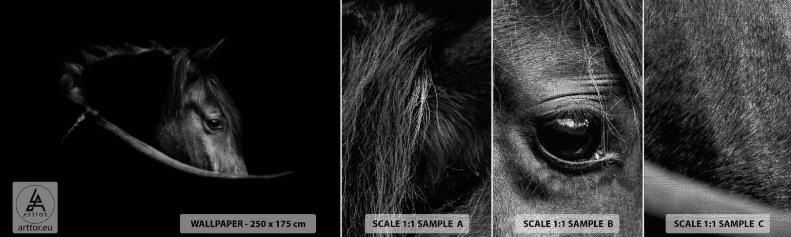 Fotobehang Monster Premium Canvas - Zwarte Prins - Paard, Dier, Artistiek - 100x30 cm