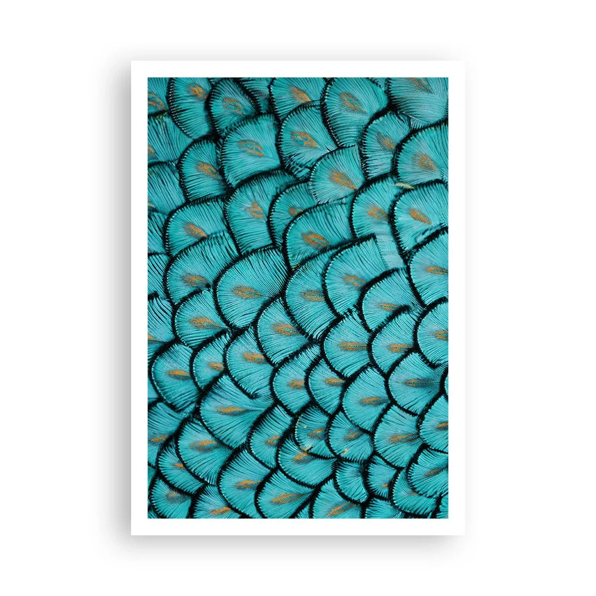 Poster - Het grote verengala - 70x100 cm