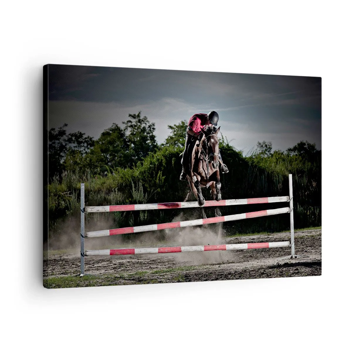 Schilderen op canvas - Een ruiter op een paard die over een hindernis op een renbaan springt - 70x50cm - Samen naar de overwinning - Moderne wanddecoratie voor woonkamer en slaapkamer ARTTOR