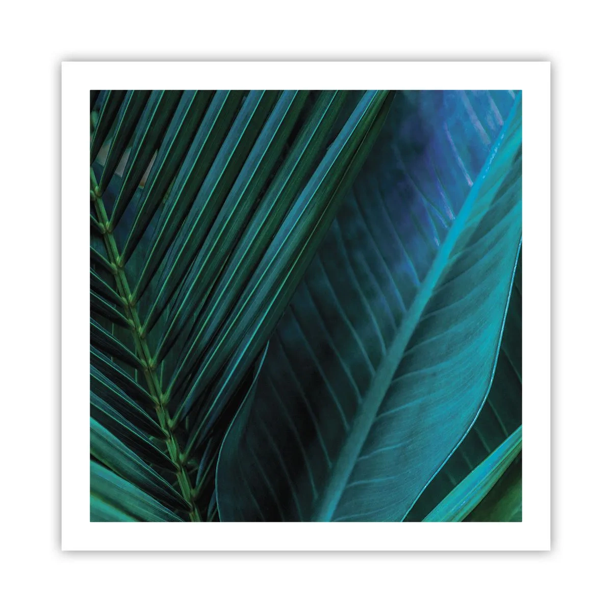 Poster - De anatomie van groen - 60x60 cm