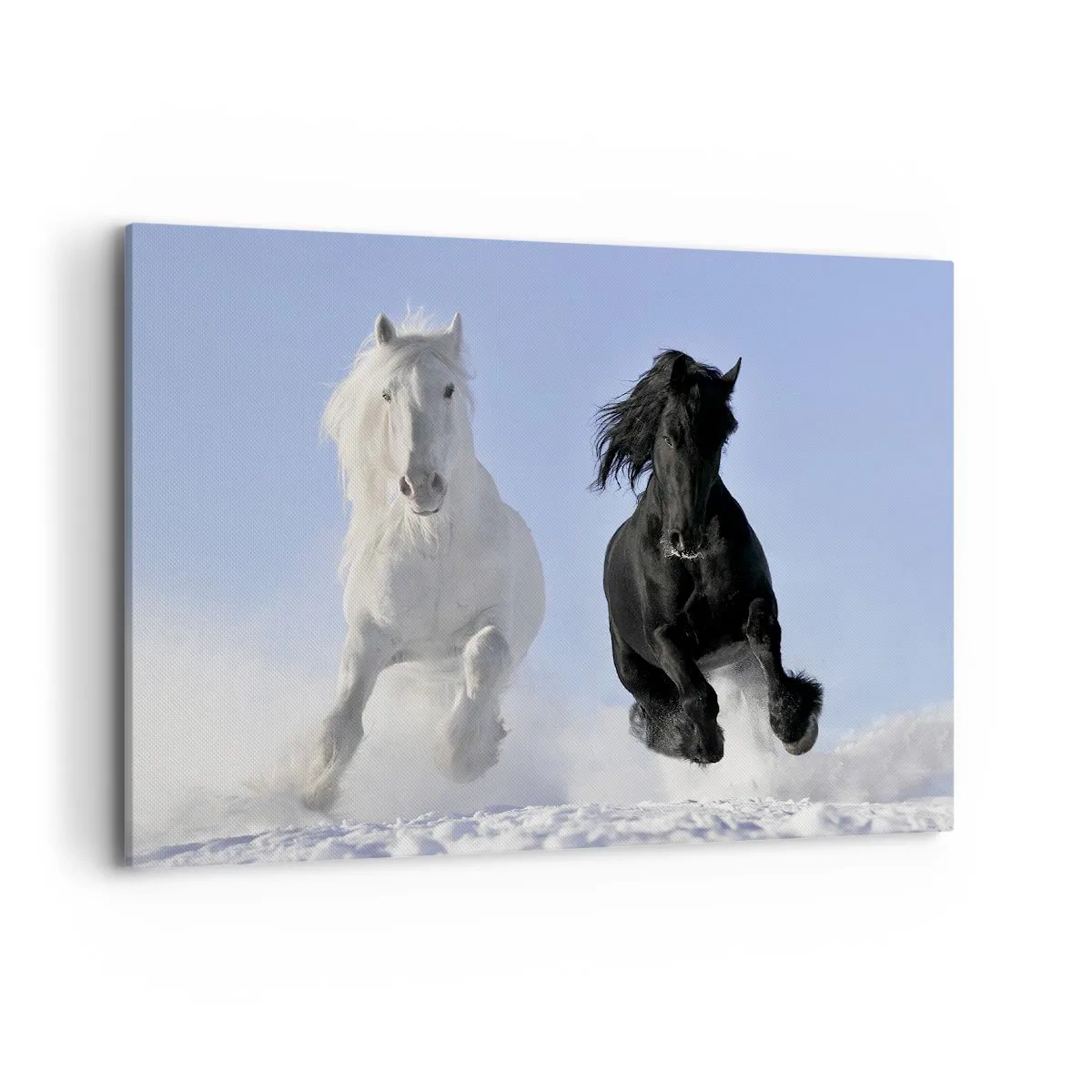 Schilderen op canvas - Zwart-wit galop - 100x70 cm