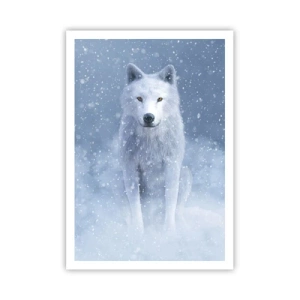 Poster - In winterse sferen - 70x100 cm