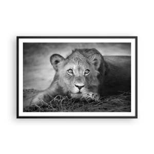 Poster in een zwarte lijst - Koninklijke puppy - 91x61 cm