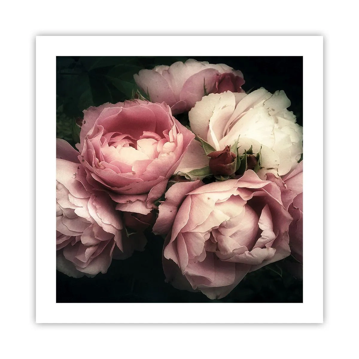 Poster - De charme van belle epoque - 50x50 cm