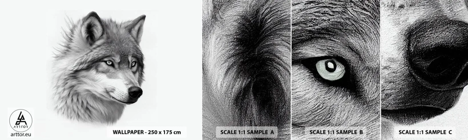 Fotobehang Staaltje Standard Eco - Alfa – zonder twijfel - Wolf, Dier, Scandinavisch - 100x30 cm