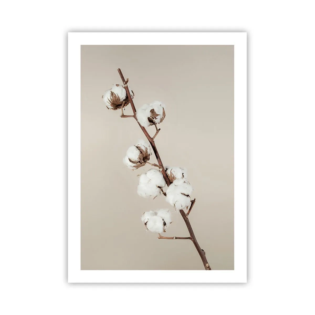 Poster - Aan de bron van zachtheid - 50x70 cm