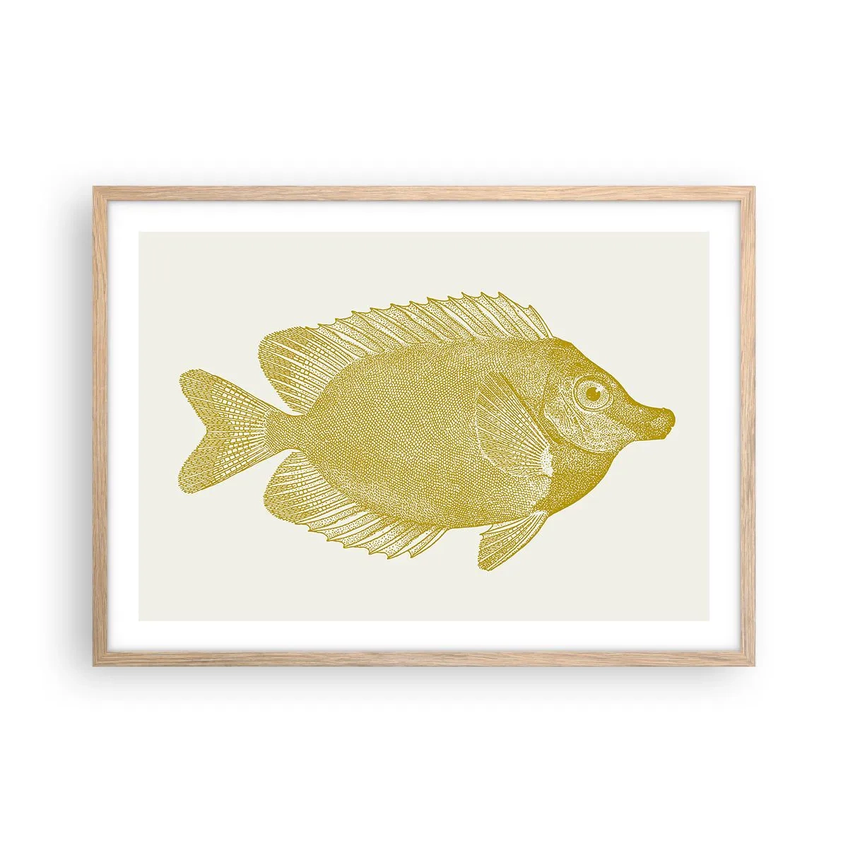 Een poster in een licht eiken lijst - Vis en dat is het - 70x50 cm