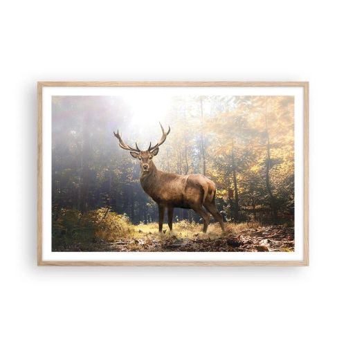 Een poster in een licht eiken lijst - In volle majesteit - 91x61 cm