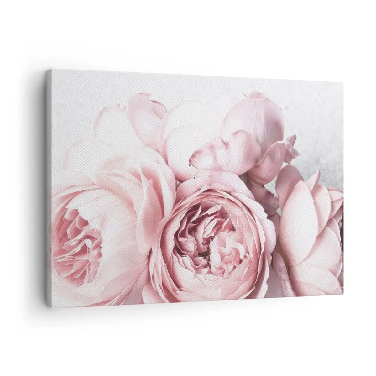 Schilderen op canvas - Roze pioenrozen in zacht licht tegen een lichte achtergrond - 70x50cm - Voor romantici - Moderne wanddecoratie voor woonkamer en slaapkamer ARTTOR
