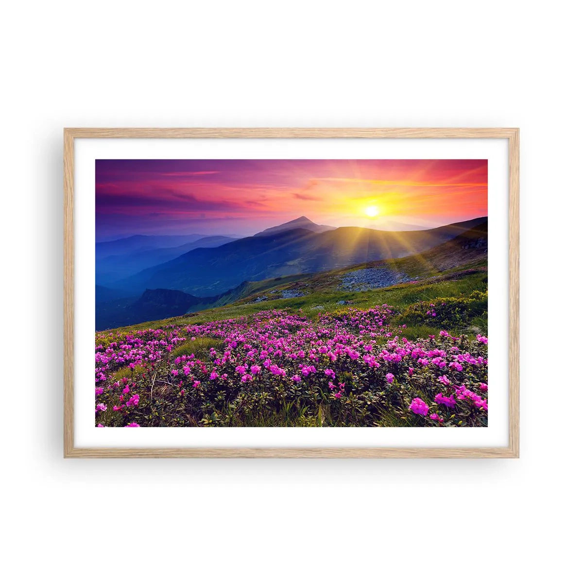 Een poster in een licht eiken lijst - … En eromheen ruikt het naar bergdennen en de geur van kruiden - 70x50 cm