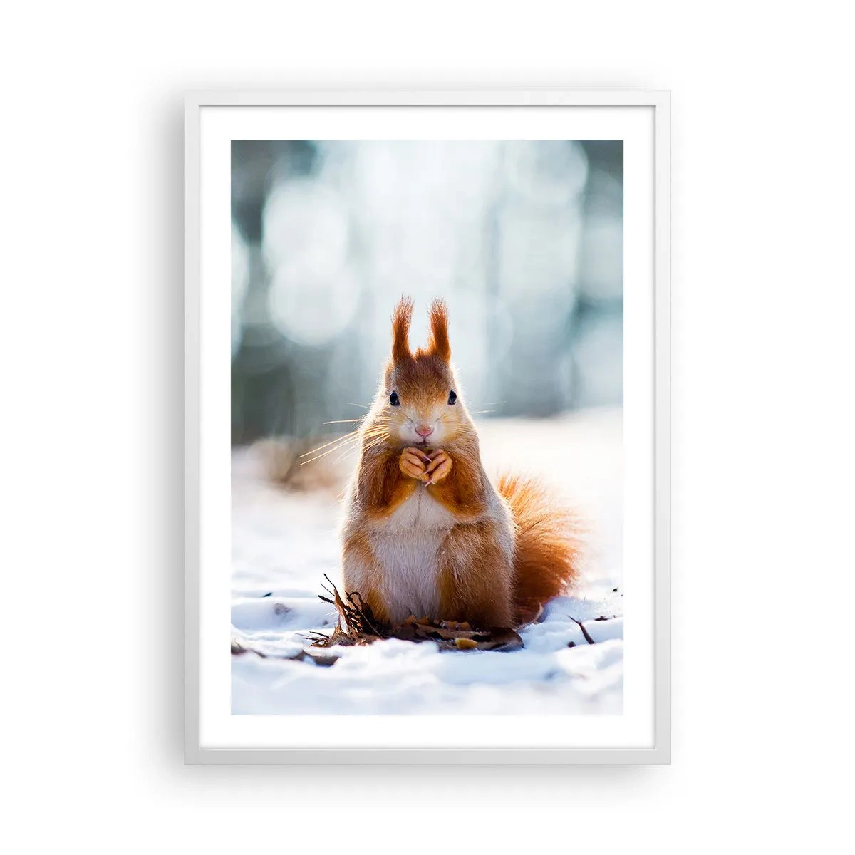 Poster in een witte lijst - Waar kijk je naar? - 50x70 cm