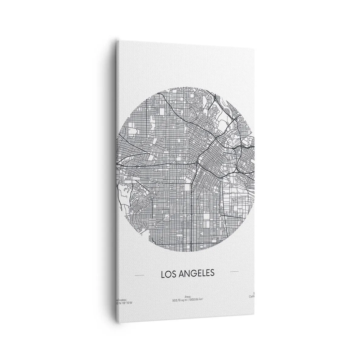 Schilderen op canvas - Anatomie van Los Angeles - 55x100 cm