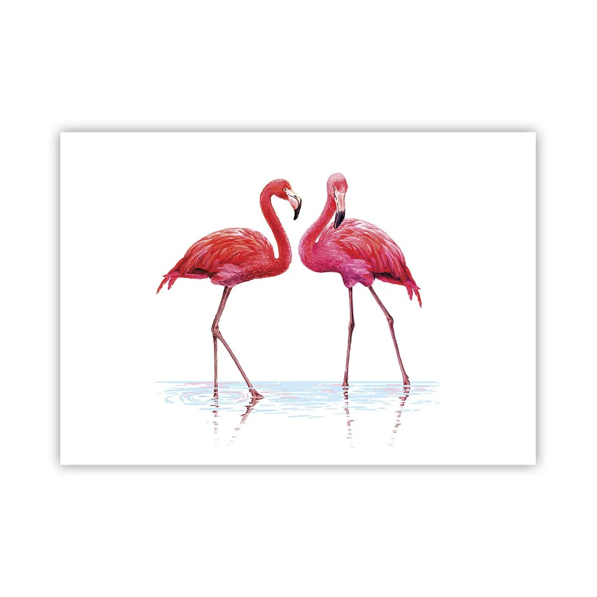 Poster - Roze randez-vous - 100x70 cm