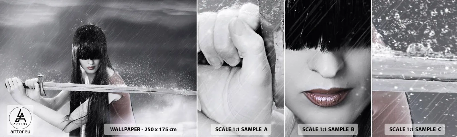 Fotobehang Staaltje Standard Eco - Mooi en gevaarlijk - Vrouw, Zwaard, Leger - 100x30 cm