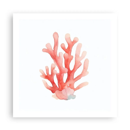 Poster - Koraalkleurig koraal - 60x60 cm