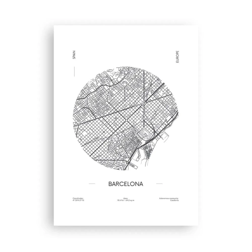 Poster - Anatomie van Barcelona - 50x70 cm