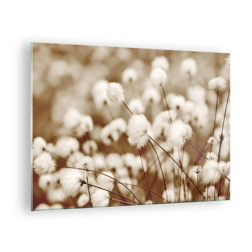 Schilderen op glas - Een veld met pluizig gras in sepiatinten - 70x50cm - Pluizig korenveld - Moderne wanddecoratie voor woonkamer en slaapkamer ARTTOR