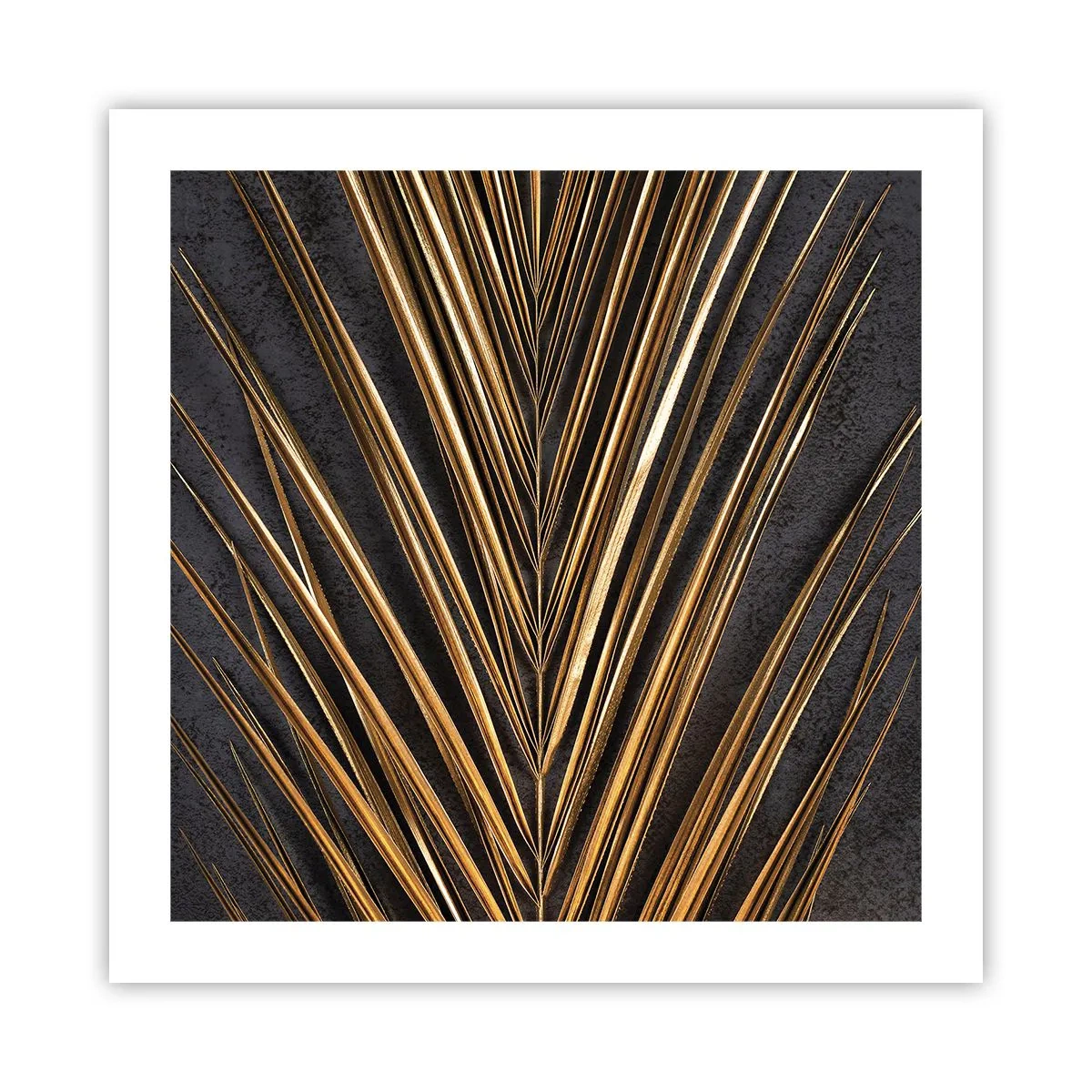Poster - Het goud van de tropen - 50x50 cm