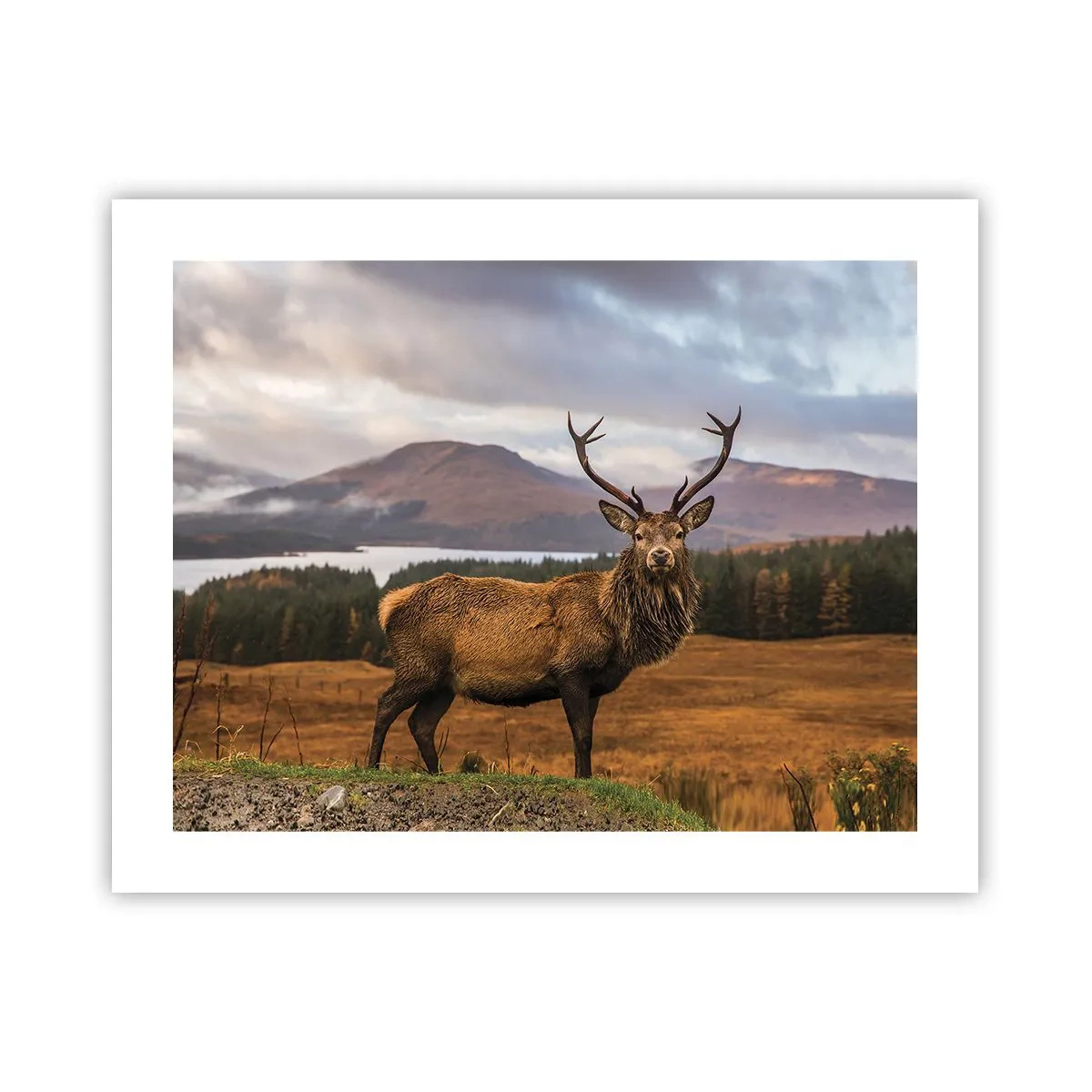Poster - De majesteit van de natuur - 50x40 cm