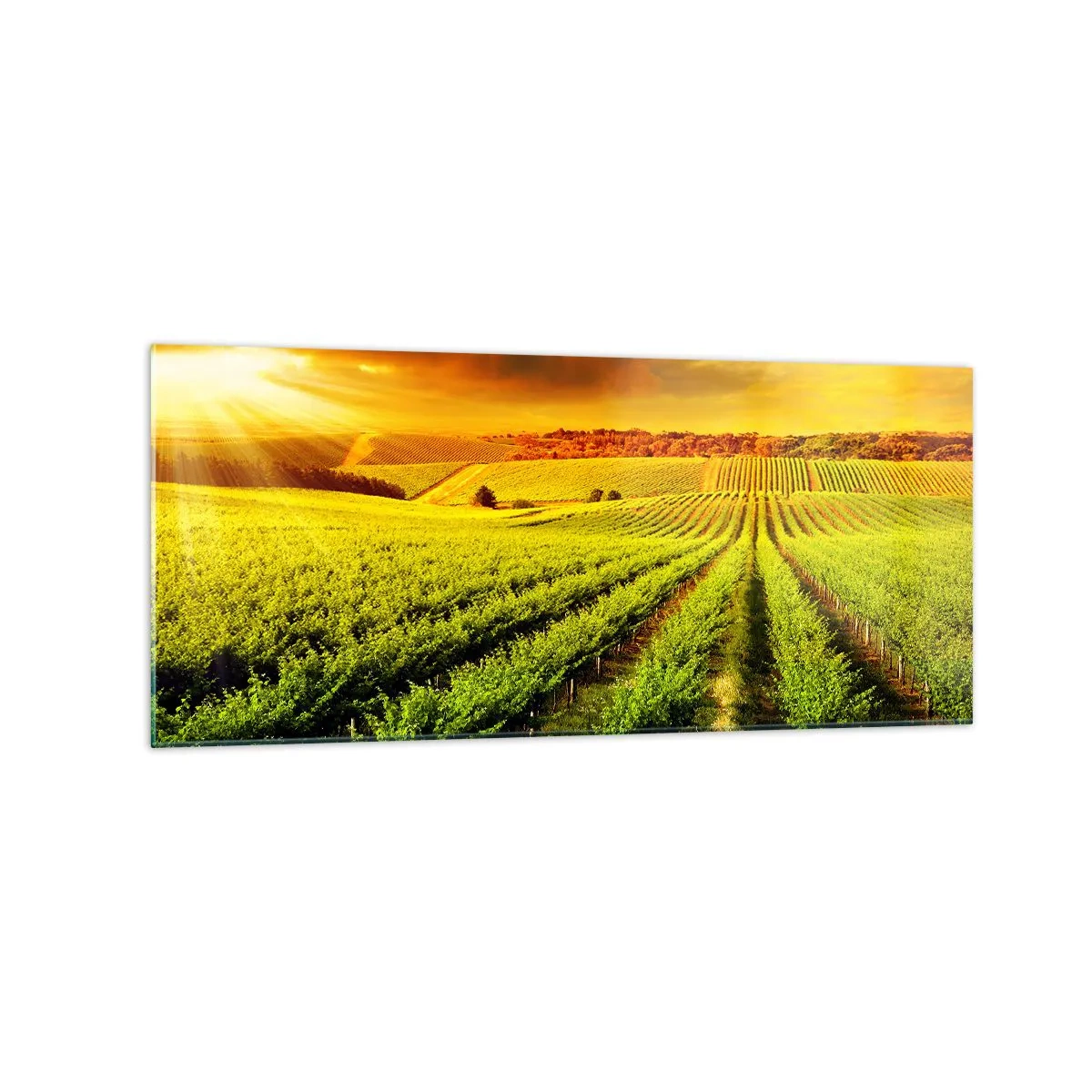 Schilderen op glas - Onder de Australische zon - 120x50 cm