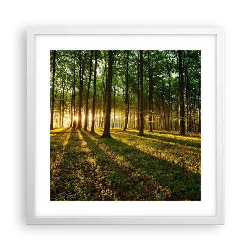 Poster in een witte lijst - Foto van de hele lente - 40x40 cm