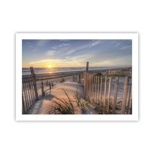 Poster - Glans en schaduw van de wind - 70x50 cm