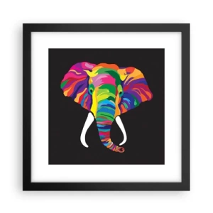 Poster in een zwarte lijst - De olifant die ervan hield om in de regenboog te baden - 30x30 cm
