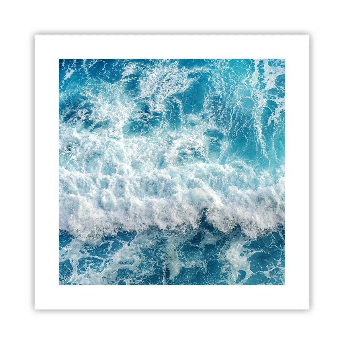 Poster - Vrolijk en springend - 40x40 cm