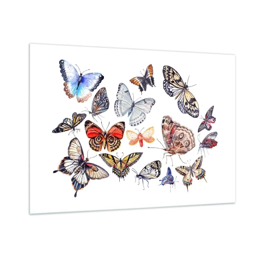 Schilderen op glas - Kanten, kleurrijke zwerm - 100x70 cm