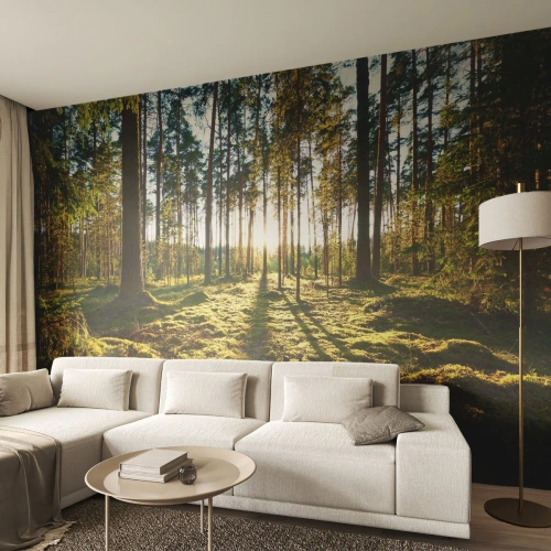 Zelfklevend Fotobehang Deluxe Sticker - … Achter de zeven bossen - Landschap, Woud, Natuur - 100x70 cm