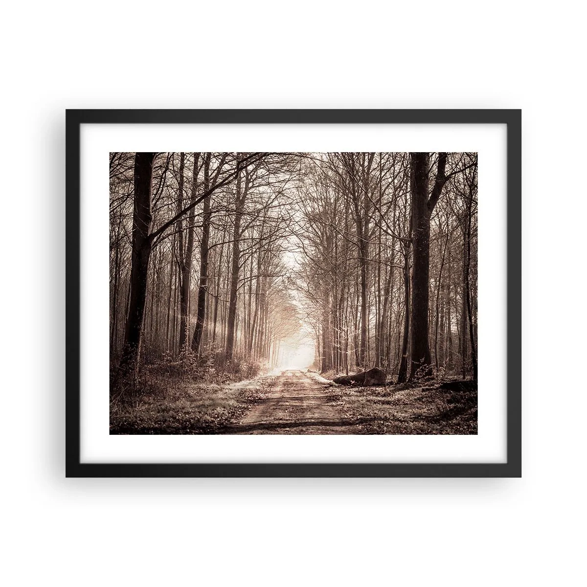 Poster in een zwarte lijst - Boskathedraal - 50x40 cm
