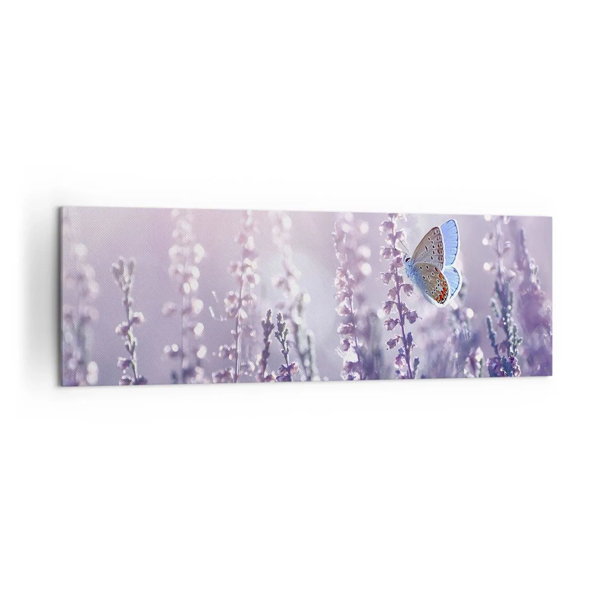 Schilderen op canvas - Vlinder kus - 160x50 cm