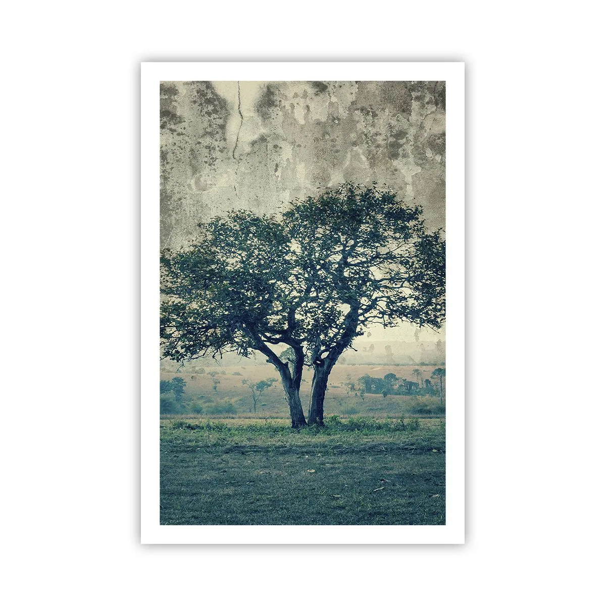Poster - Een appelboom op een blauw veld? - 61x91 cm