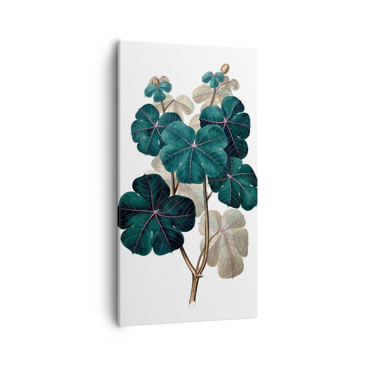 Schilderen op canvas - Uit het oude herbarium - 55x100 cm
