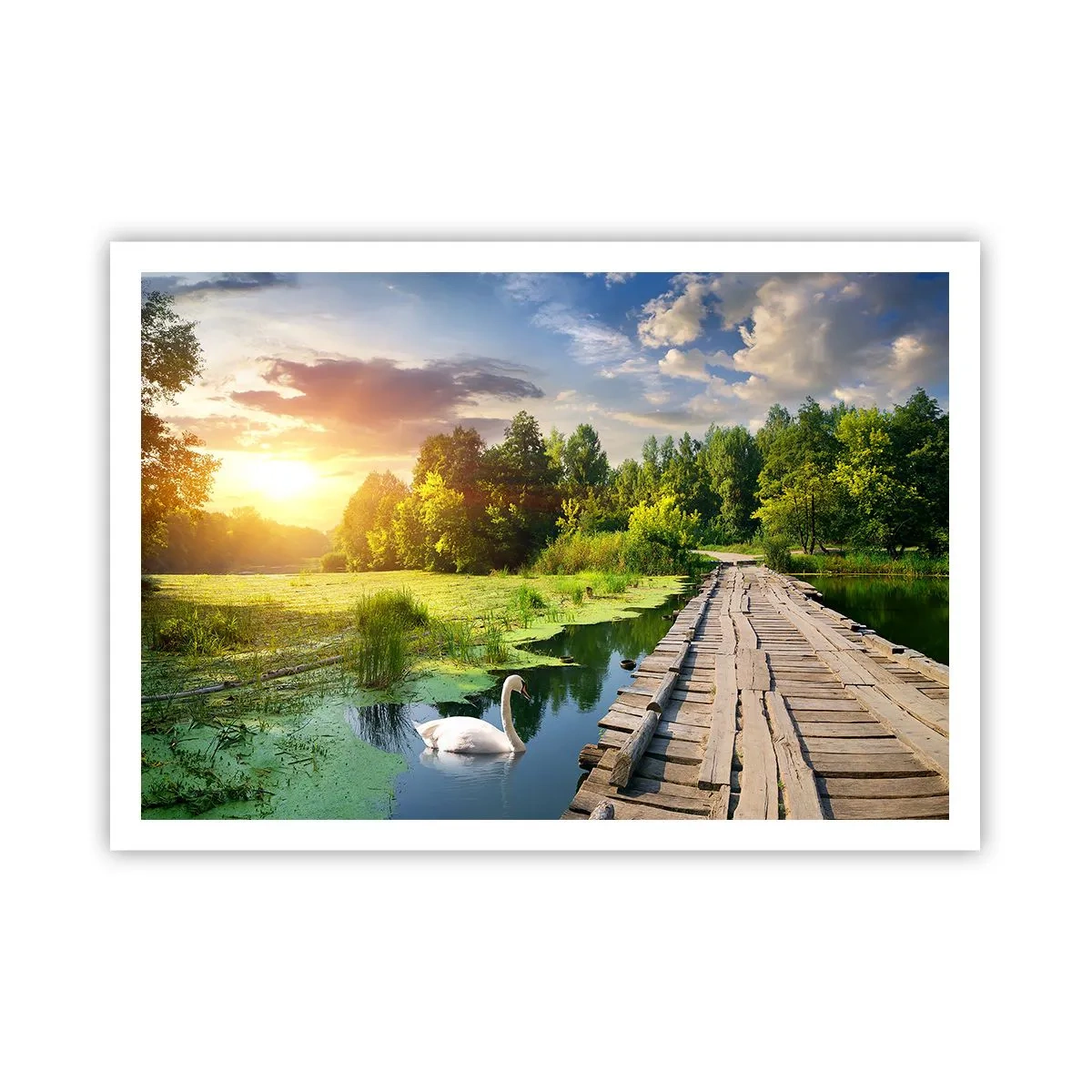 Poster - Zomer, zomer overal - 100x70 cm