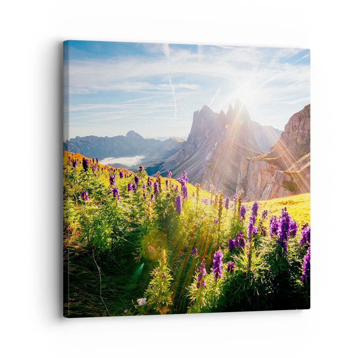 Schilderen op canvas - Het geheime leven van kruiden - 30x30 cm