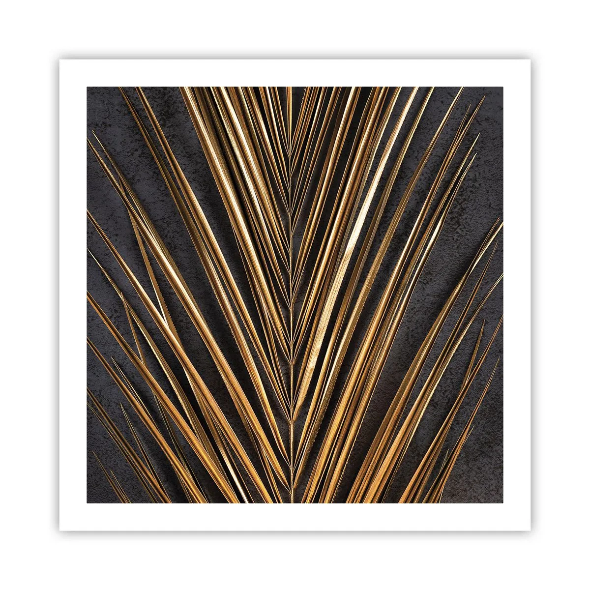 Poster - Het goud van de tropen - 60x60 cm