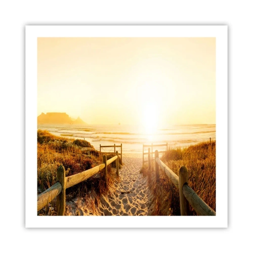 Poster - Over het duin, richting de zon - 60x60 cm